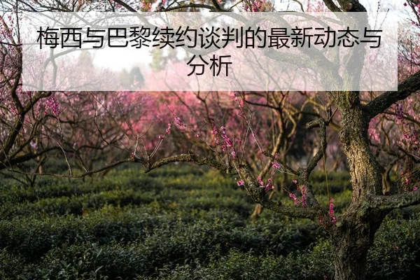 梅西与巴黎续约谈判的最新动态与分析